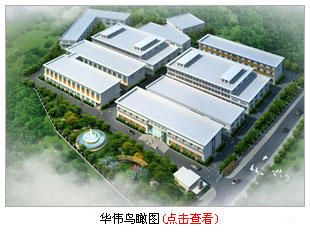 ��˾����